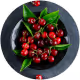 Tart Cherry